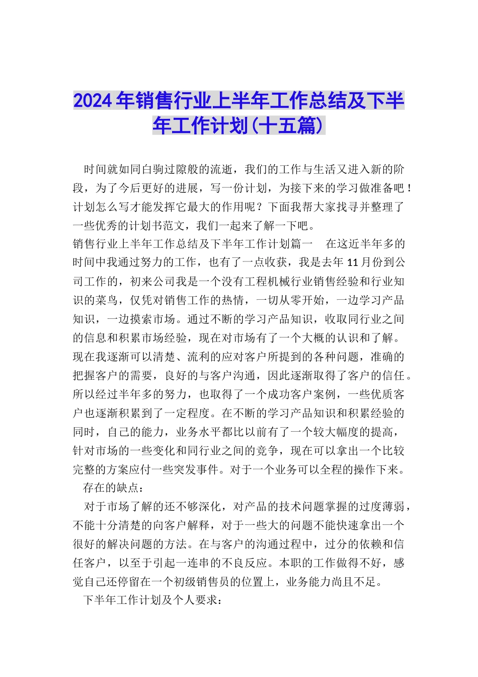 2024年销售行业上半年工作总结及下半年工作计划_第1页