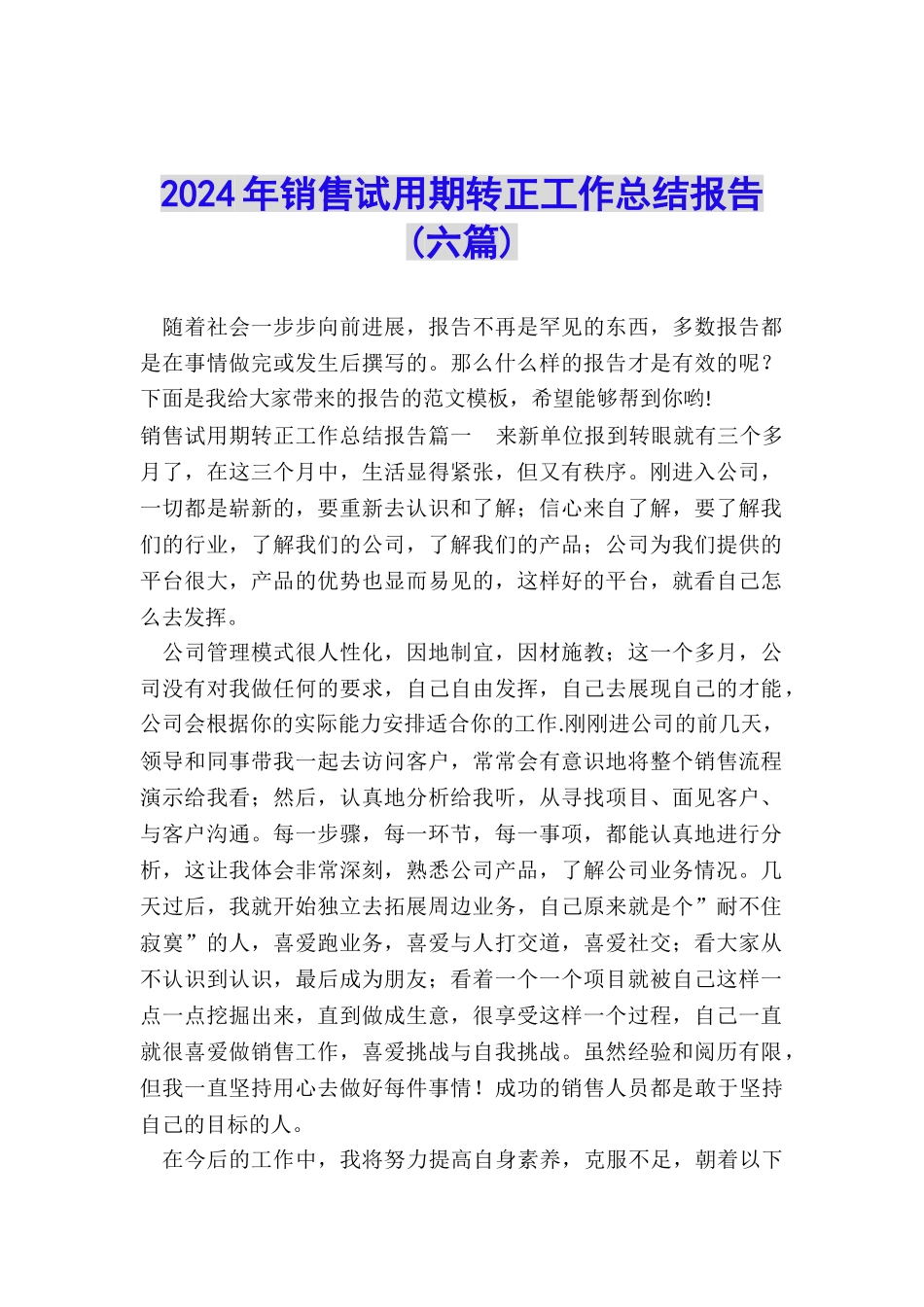 2024年销售试用期转正工作总结报告_第1页