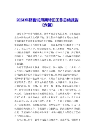 2024年销售试用期转正工作总结报告