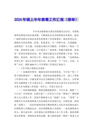 2024年镇上半年禁毒工作汇报