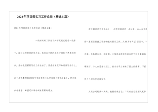 2024年项目部实习工作总结(精选5篇)