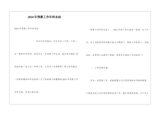 2024年预算工作年终总结