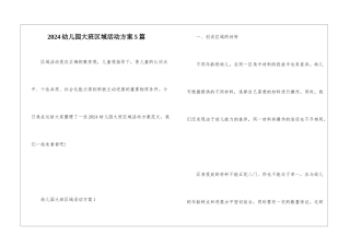 2024幼儿园大班区域活动方案5篇