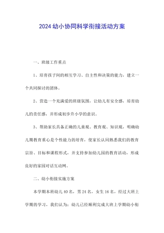 2024幼小协同科学衔接活动方案