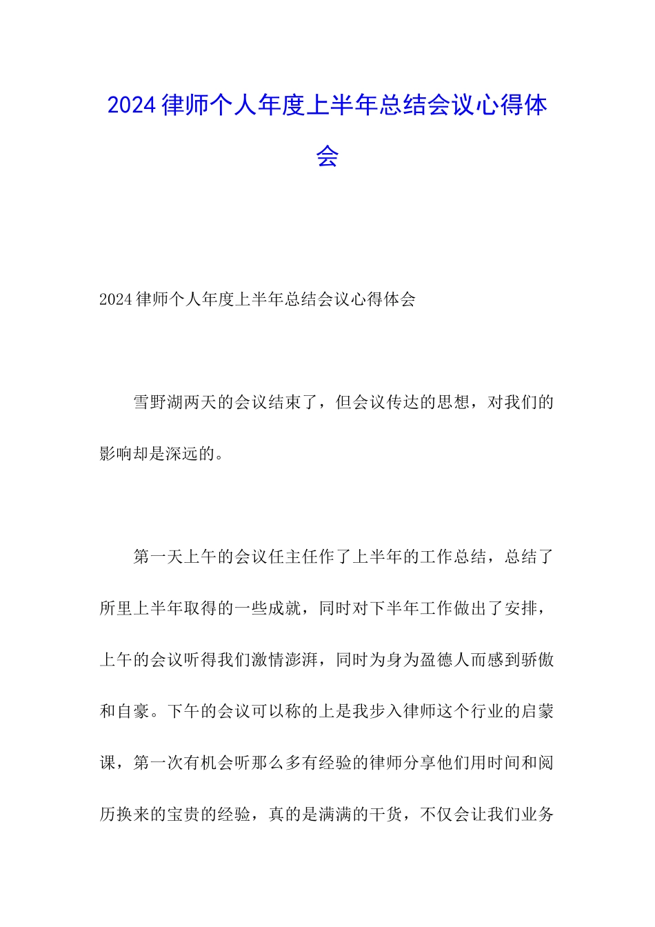 2024律师个人年度上半年总结会议心得体会_第1页