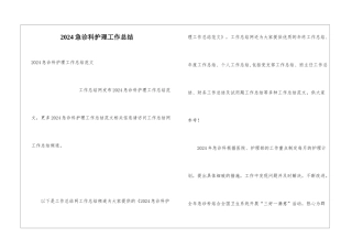 2024急诊科护理工作总结