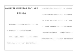 2024房地产项目公司财务工作总结房地产中介公司财务工作总结