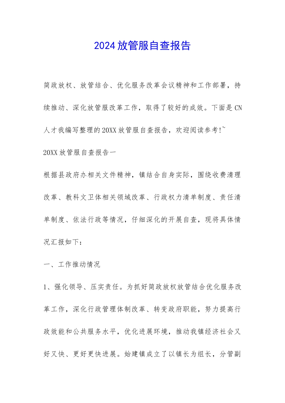 2024放管服自查报告-_第1页