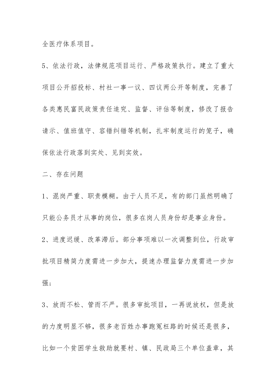 2024放管服自查报告-_第3页