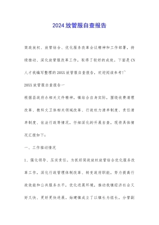 2024放管服自查报告-