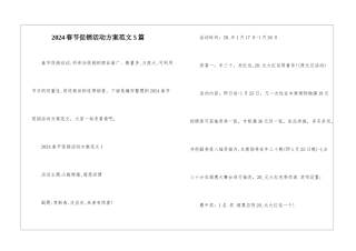 2024春节促销活动方案范文5篇