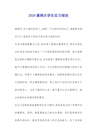 2024暑期大学生实习报告-