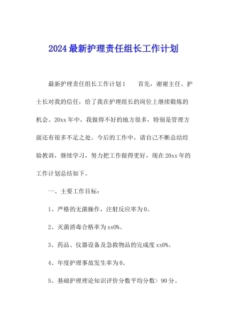 2024最新护理责任组长工作计划