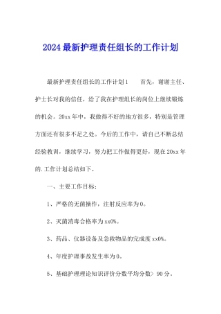 2024最新护理责任组长的工作计划