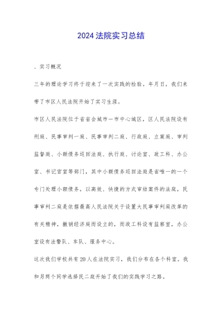 2024法院实习总结-