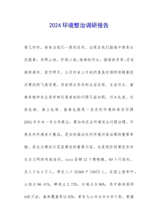 2024环境整治调研报告-