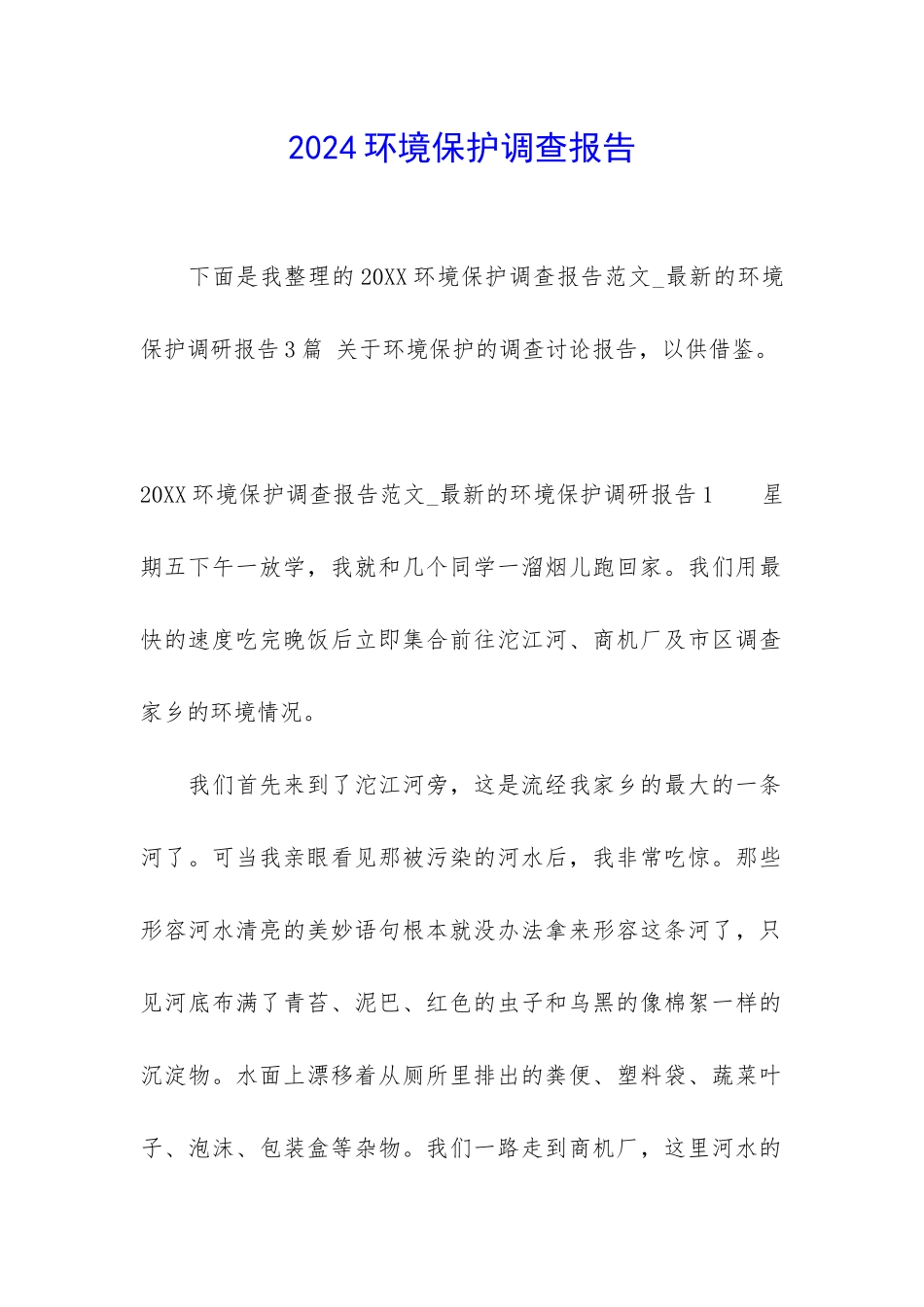 2024环境保护调查报告_第1页