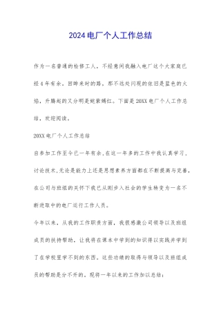 2024电厂个人工作总结-