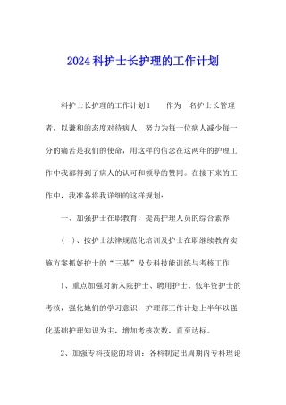 2024科护士长护理的工作计划