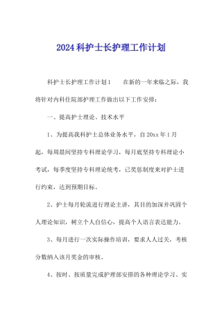 2024科护士长护理工作计划