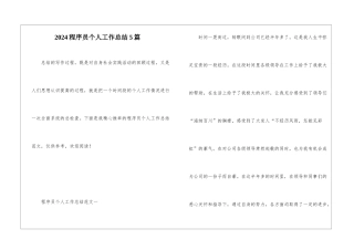 2024程序员个人工作总结5篇