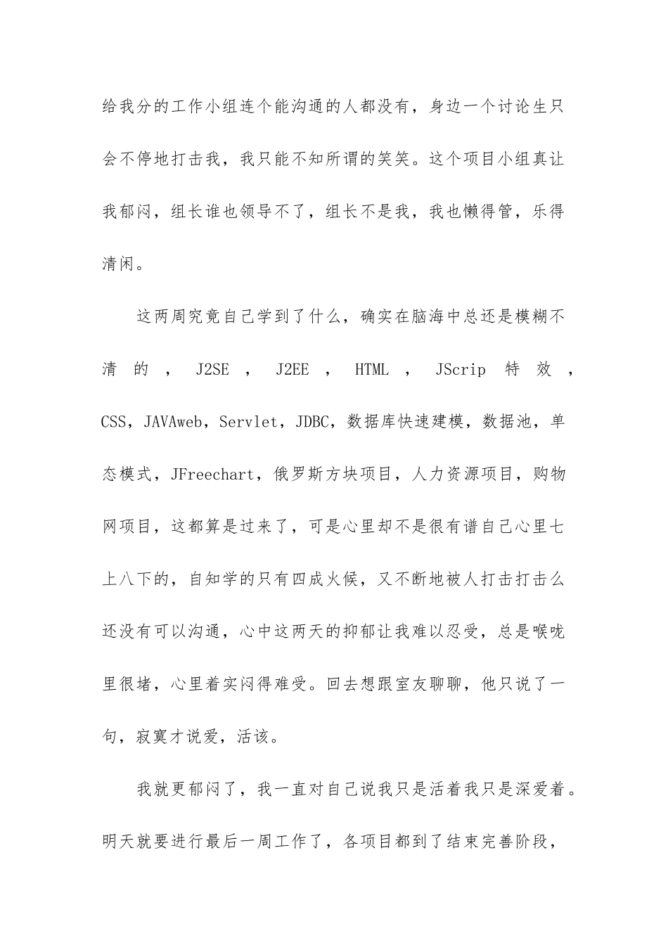 2024程序员年终工作总结ppt3篇-程序员年终总结年_第2页
