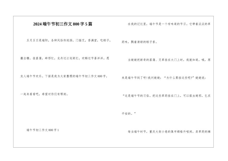 2024端午节初三作文800字5篇_第1页