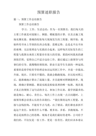 预算述职报告