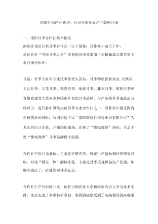 南阳月季产业典型