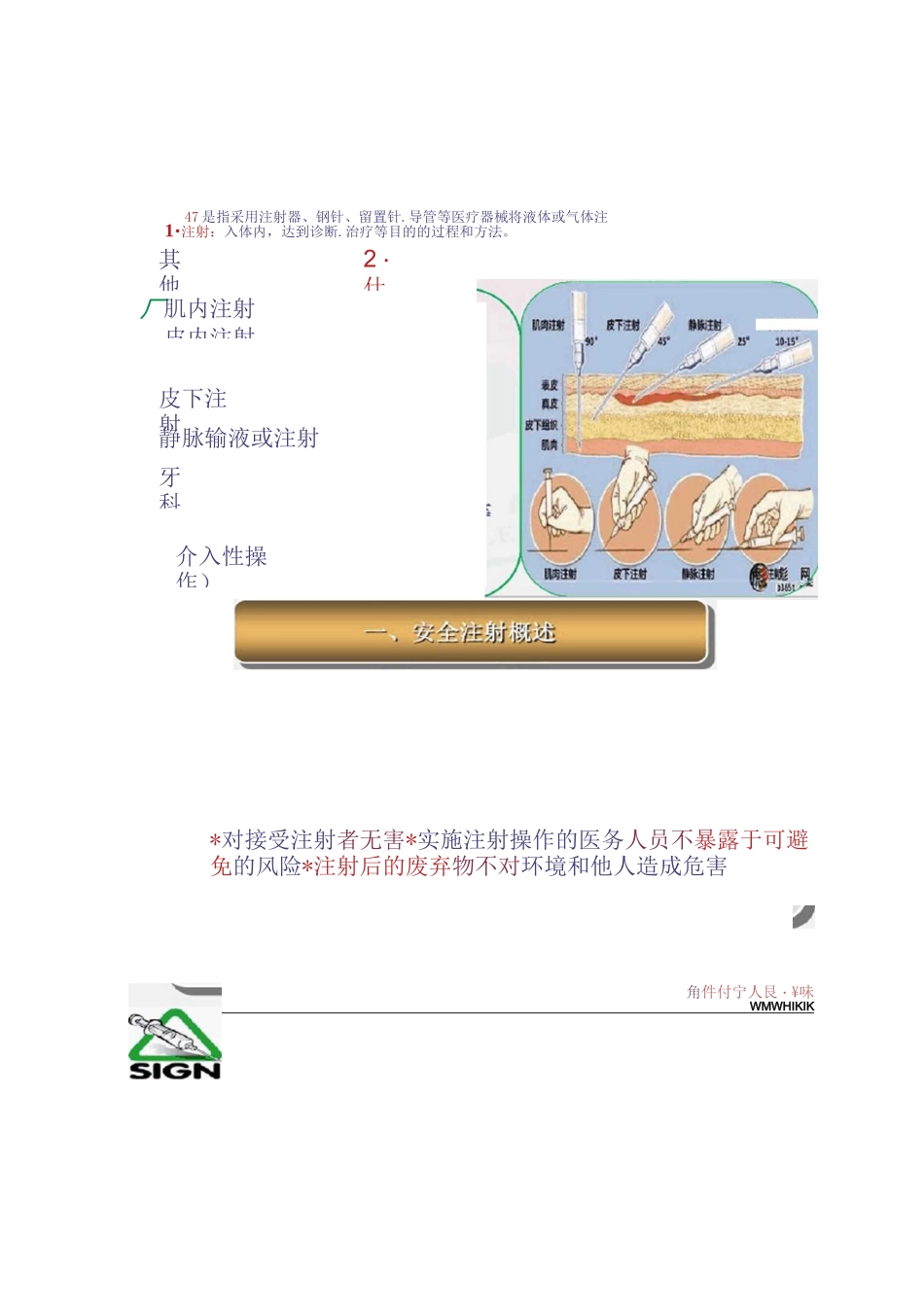 安全注射PPT课件._第2页