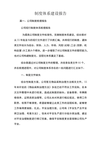 制度体系建设报告