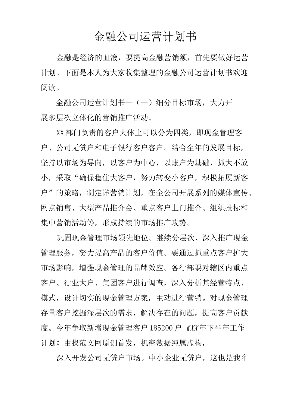 金融公司运营计划书_第1页