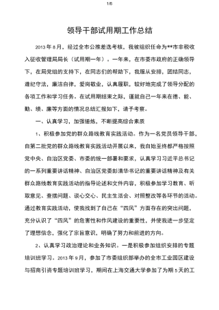 领导干部试用期工作报告总结