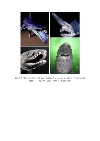 各种鲨鱼介绍及图示