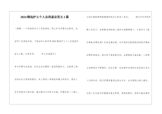 2024精选护士个人自我鉴定范文2篇