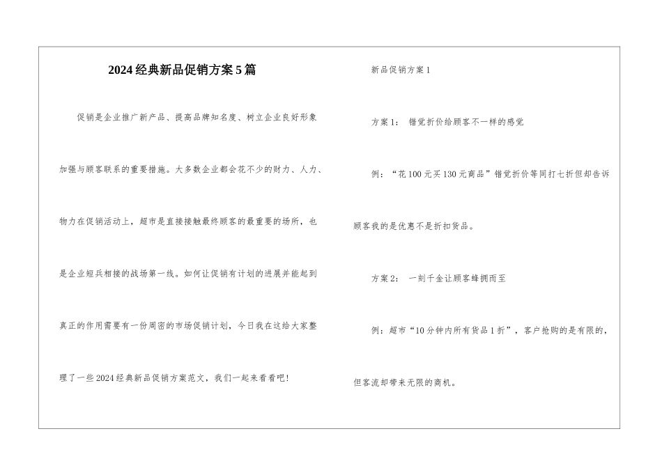 2024经典新品促销方案5篇_第1页