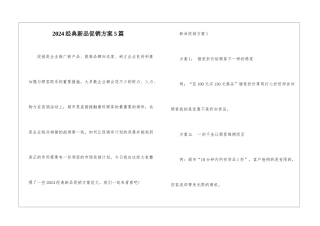 2024经典新品促销方案5篇