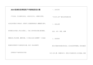 2024经典的怎样组织户外游戏活动方案