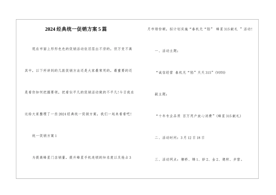 2024经典统一促销方案5篇_第1页