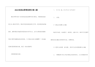 2024经典运营商促销方案5篇