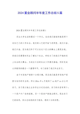 2024置业顾问半年度工作总结5篇