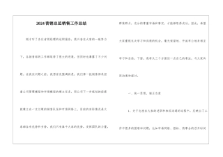 2024营销总监销售工作总结