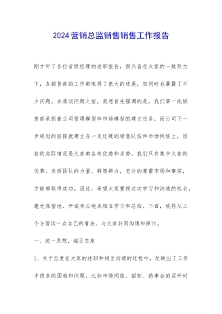 2024营销总监销售销售工作报告-