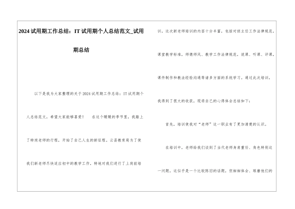 2024试用期工作总结：IT试用期个人总结范文试用期总结_第1页