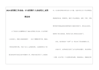 2024试用期工作总结：IT试用期个人总结范文试用期总结