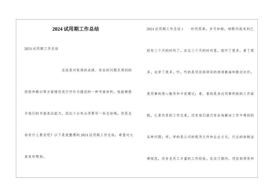 2024试用期工作总结_第1页