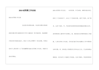 2024试用期工作总结