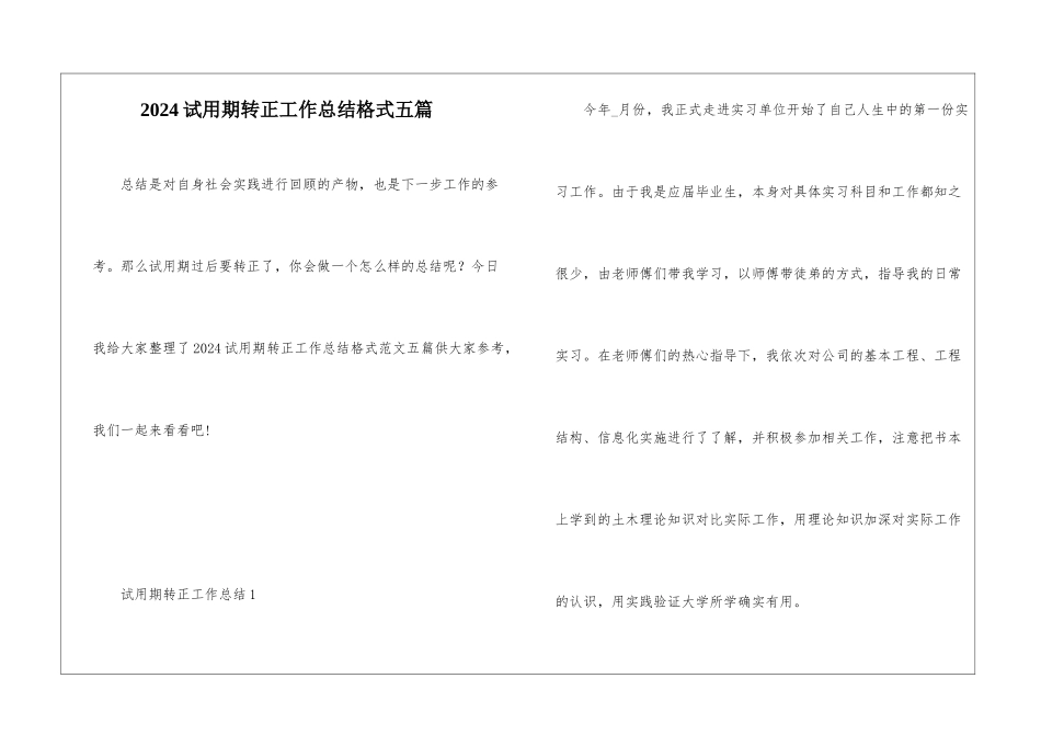 2024试用期转正工作总结格式五篇_第1页
