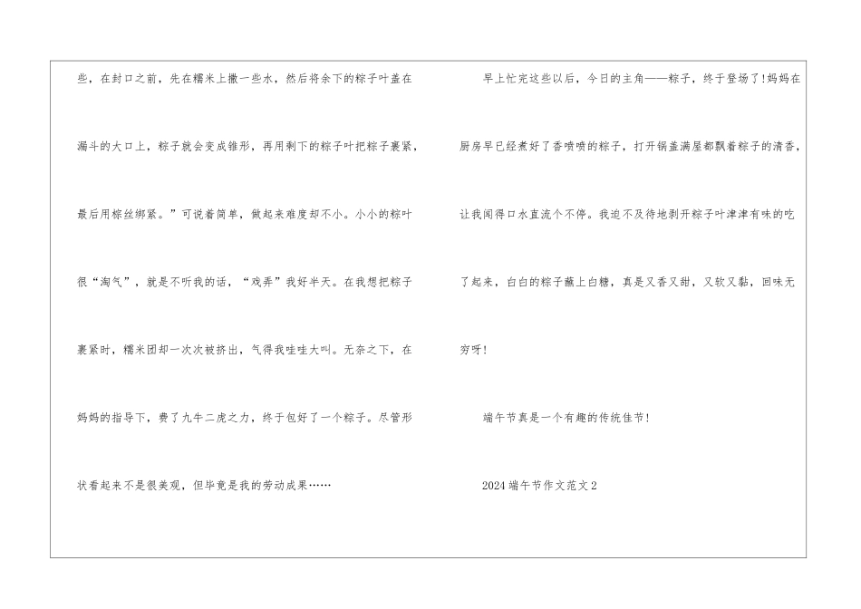 2024调皮的端午节满分作文5篇_第3页