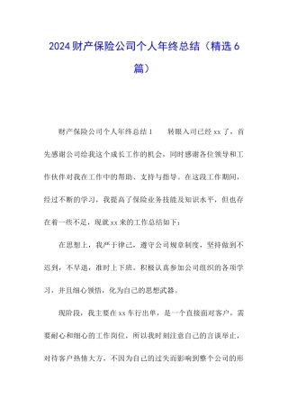 2024财产保险公司个人年终总结